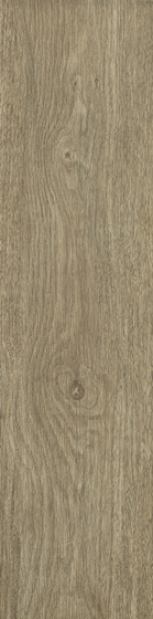 Almonte Brown Mat 29,8x119,8