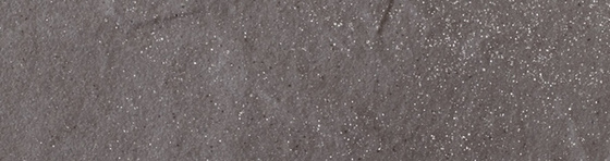 Taurus Grys Elewacja 24,5x6,6