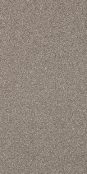 Solid Brown Mat 29,8x59,8