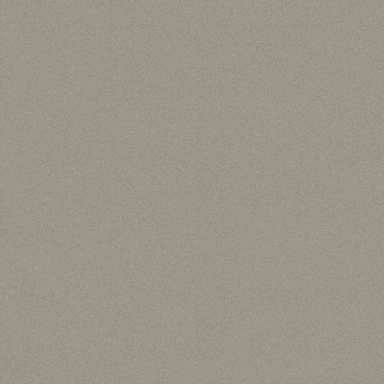 Moondust Dark Grey Polished 59,4x59,4