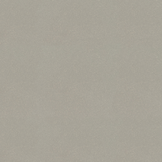 Moondust Light Grey Polished 59,4x59,4