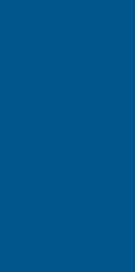 Vivida Blue 30x60