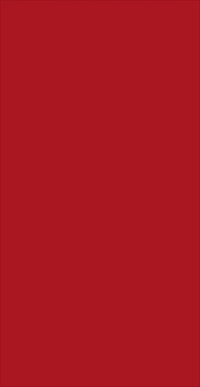 Bellicita Rosa 30x60