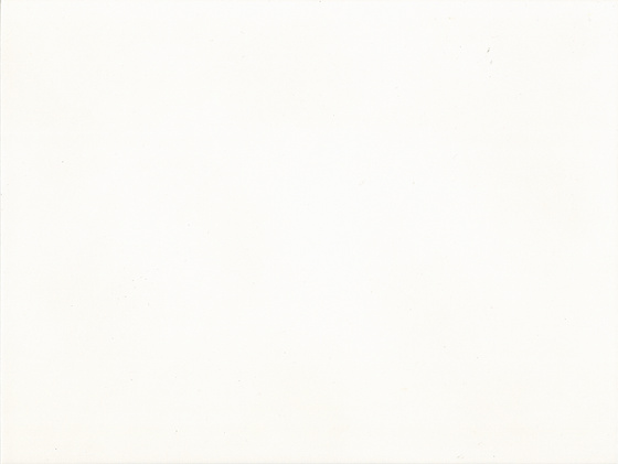 Athena White Mat Luster BM4940 25x33