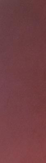 Intero Red Mat 14,8x59,8