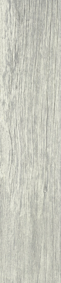 Foresta Grys Mat 21,5x98,5