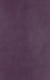 Petersburg Viola 25x40