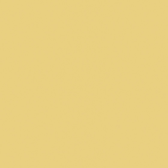 Gamma Miodowa Mat 19,8x19,8