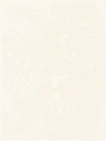 Tani Beige 25x33