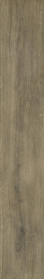 Roble Ochra Mat 19,4x120