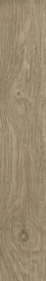 Almonte Brown Mat 14,8x89,8