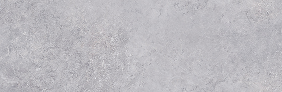 Delicate Stone Grey 24x74