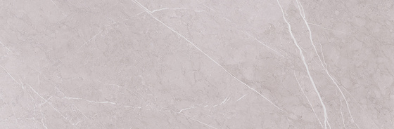 Light Marquina Grey 24x74