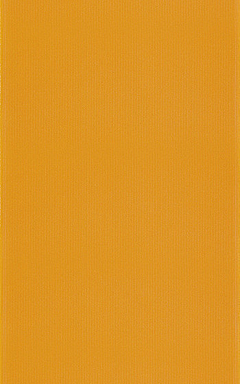 Diantus Orange 25x40