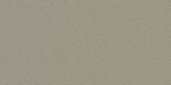Moondust Dark Grey Polished 29,5x59,4