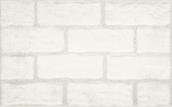 Muro Bianco Struktura 25x40