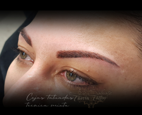 cejas perfectas tatuadas `micropigmentacion pelo a pelo microblading en valencia