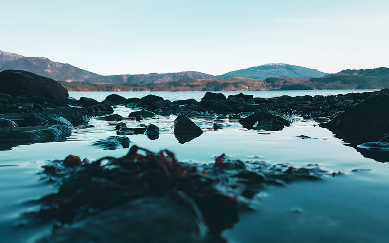 Wer die Bu?hne eines Wettkampfes betritt, sollte gut mit Lampenfieber umgehen können!