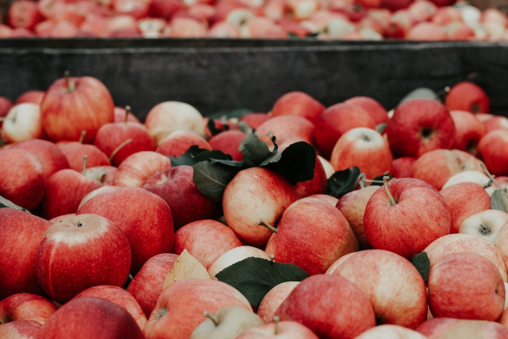 earthweek: Ernährung im Alltag, im Training und im Wettkampf