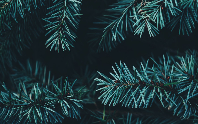 Rocking around the #christmastri: der TIME2TRI Adventskalender 2017