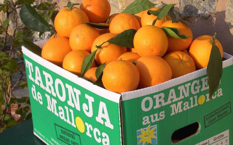Mallorca für zu Hause: Mandeln, Orangen und vieles mehr von Fet a Sóller