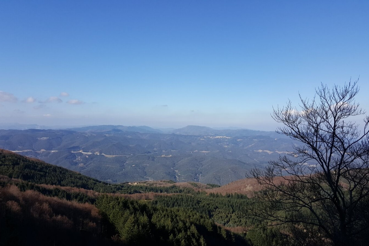 trainingslager-fuer-triathleten-ideale-destinationen.jpg