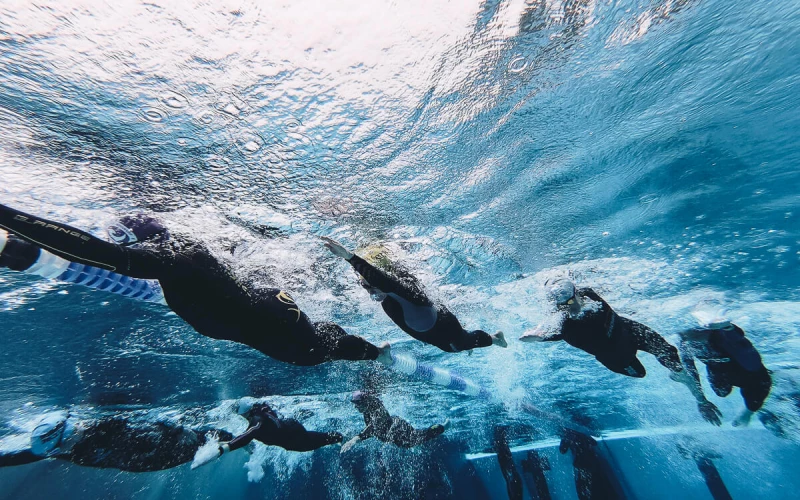 Ihr sollt schwimmen, nicht tanzen! Die richtige Kraultechnik für Triathleten