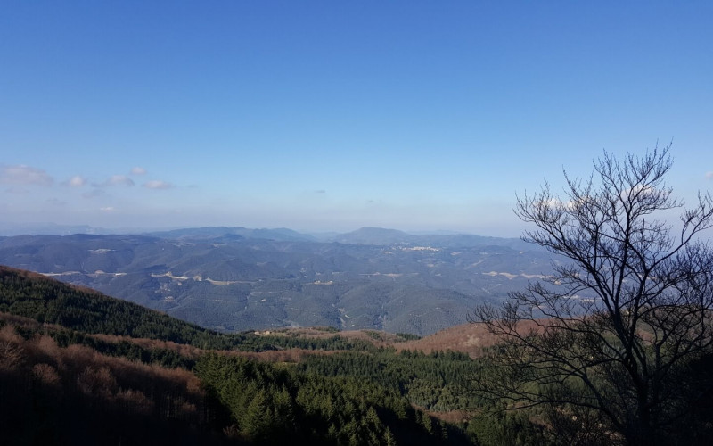 Trainingslager für Triathleten- ideale Destinationen