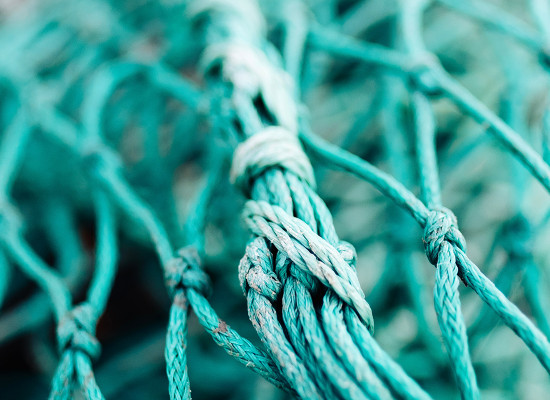 earthweek: Nachhaltige Sportbekleidung für jeden