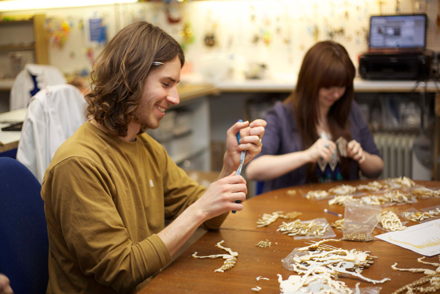 How It's Made: Tatty Devine Dinosaur GIANT Necklace