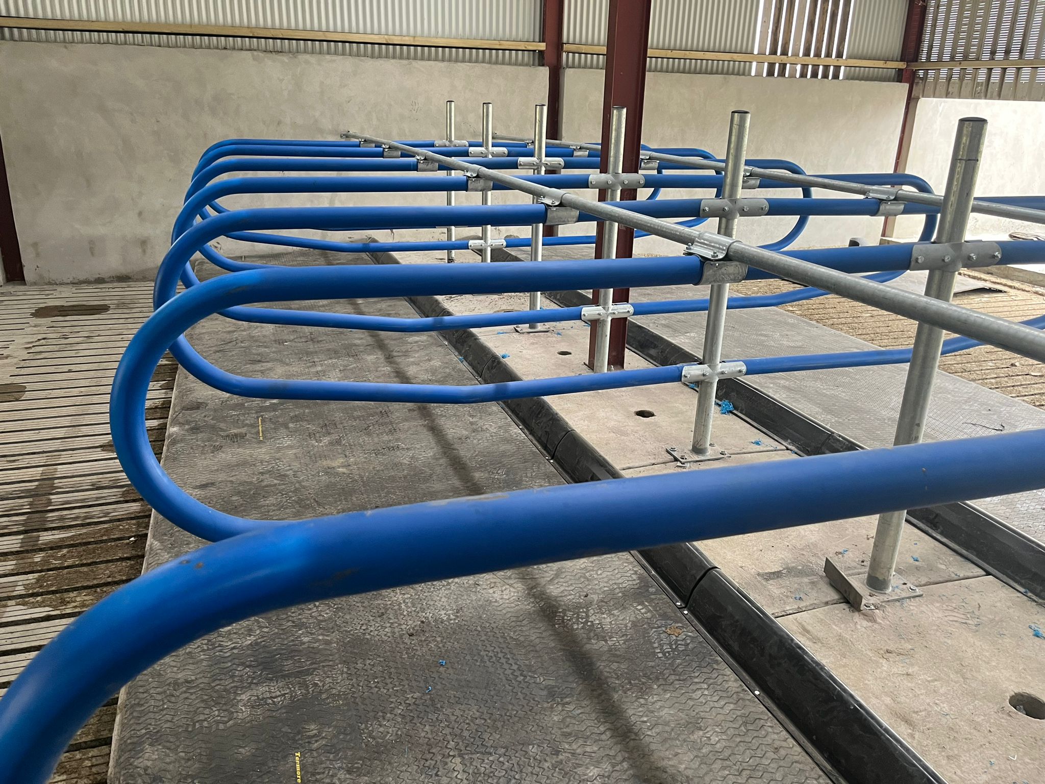 Plastic Cow Cubicle Teemore Engineering Livestock Housing Specialists