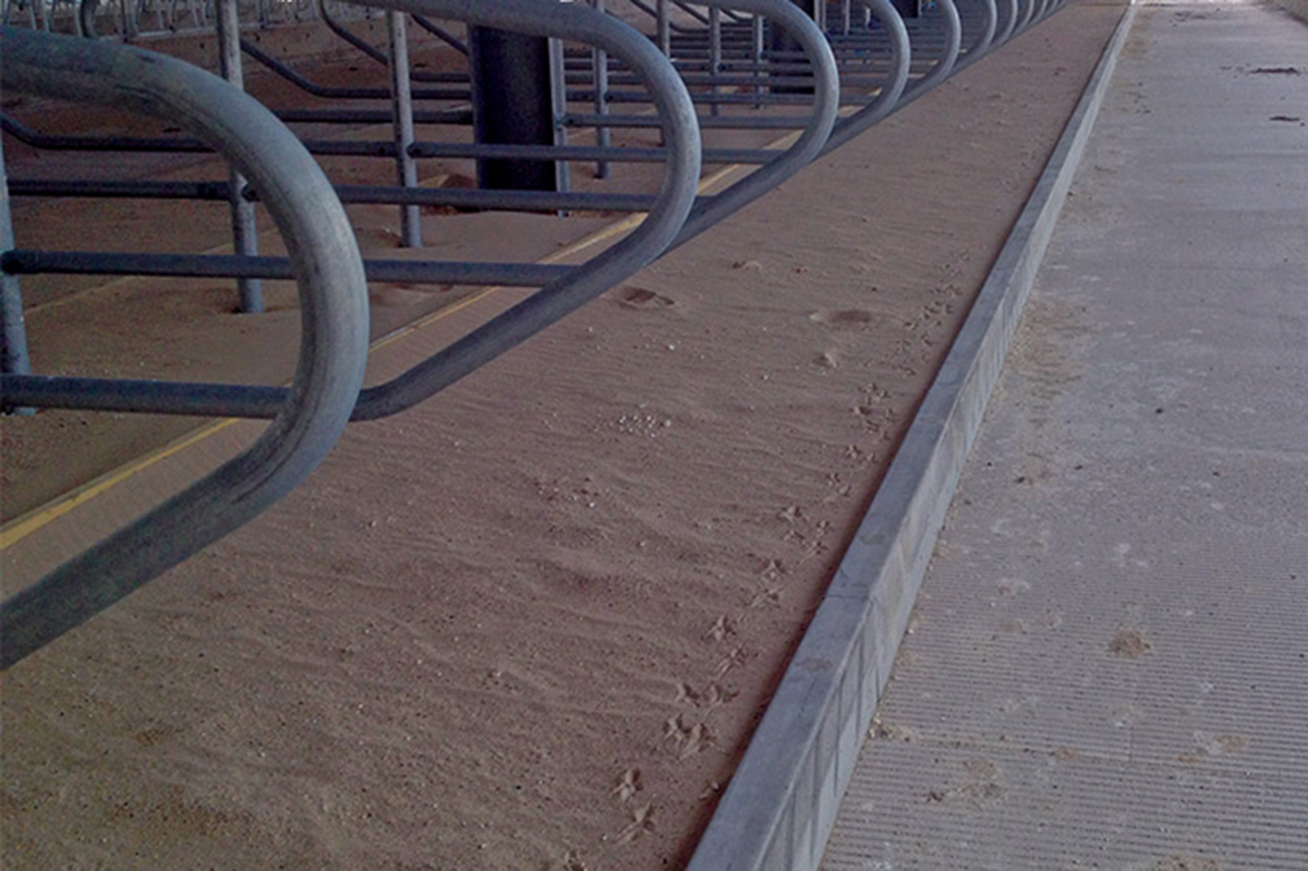 Concrete HeelStone Kerb Teemore Engineering Livestock Housing