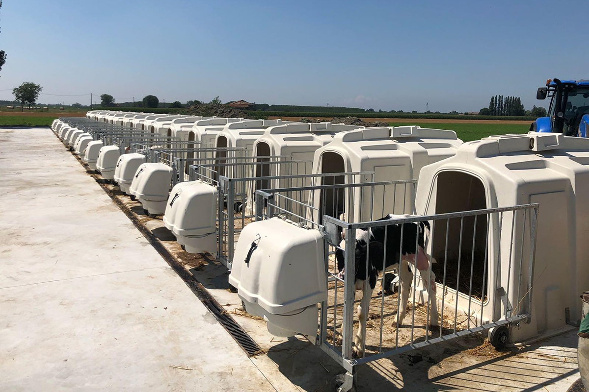 Deluxe SL Calf Hutch Teemore Engineering Livestock Housing Specialists