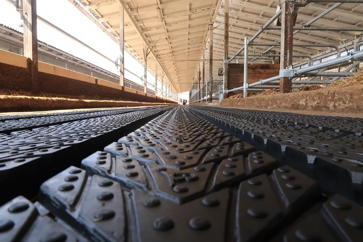 Rubber Flooring Teemore Engineering Livestock Housing Specialists