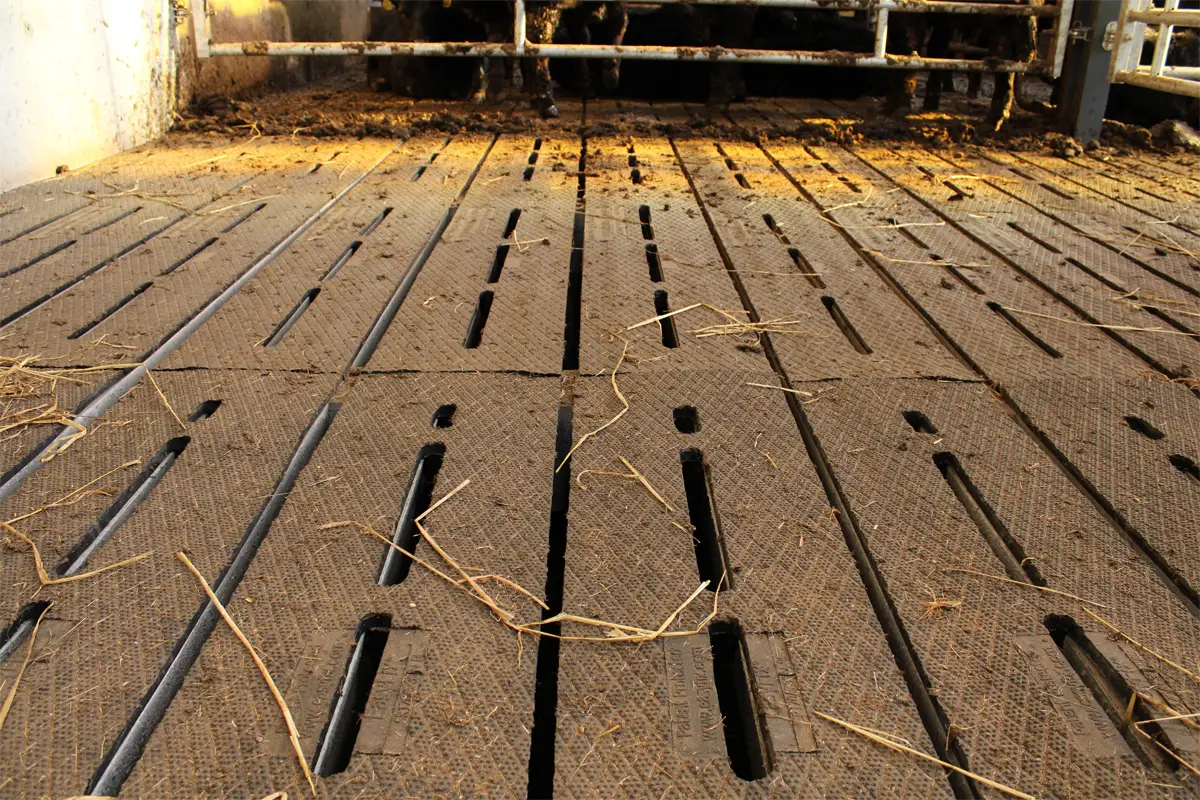 SR Slat Rubber Teemore Engineering Livestock Housing Specialists