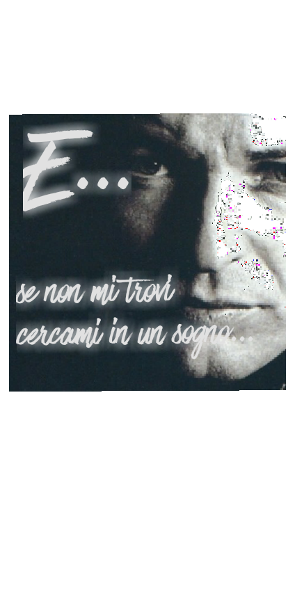 vasco rossi magliette ufficiali