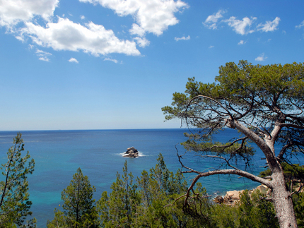 la côte