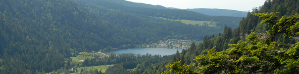 Séjour en groupe dans les Vosges à Gérardmer - réf : 131