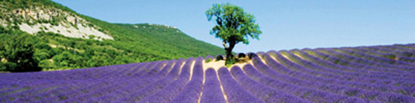 Votre séjour en Drôme Provençale - réf 018