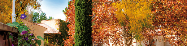 Votre séjour dans les Alpes de Haute Provence - réf 410