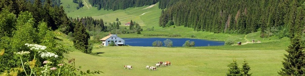 Votre séjour en groupe dans le Jura - Réf 345