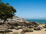 Séjour en Vendée, au pied des Iles d'Yeu et de Noirmoutier - réf : 096