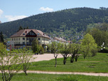 Au c?ur du massif des Vosges au bord du lac de Gérardmer - réf : 142