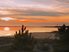 coucher de soleil 