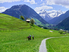Suisse 1