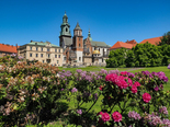 POLOGNE La petite Pologne et Cracovie