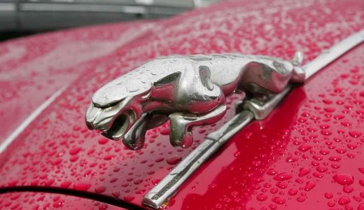 Jaguar Rain Novice and Classic Track day at Blyton Park