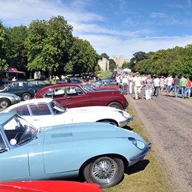 Windsor Jaguar Display Image Windsor Jaguar Display Image