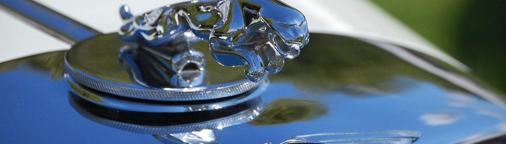 Jaguar 2310644 960 720 Jaguar 2310644 960 720