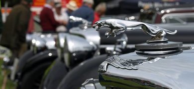 Jaguar Enthusiasts' Club Jaguar Enthusiasts' Club Image